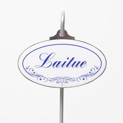 Laitue