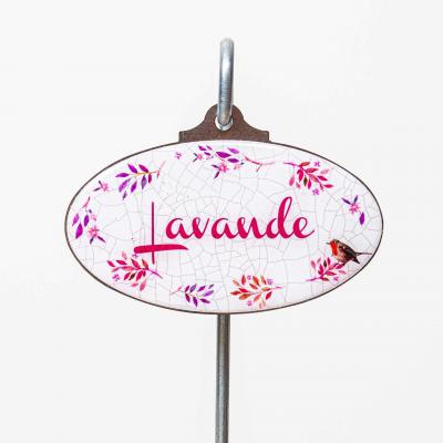 Lavande