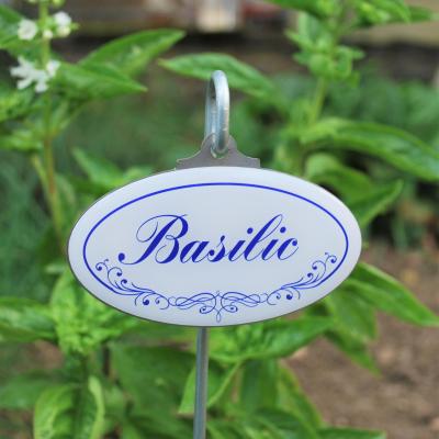 Marque plante basilic 1