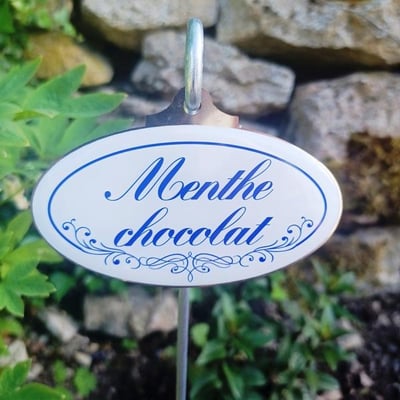 Menthe chocolat etiquette pour les plantes