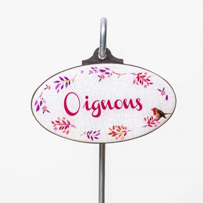 Oignons
