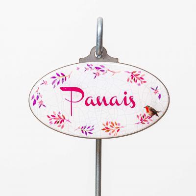 Panais