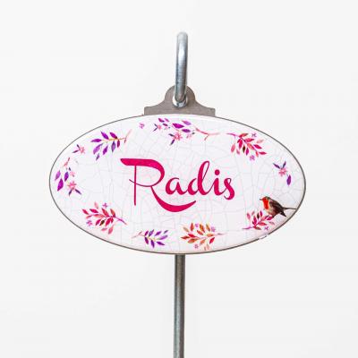 Radis