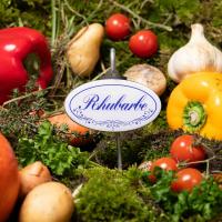 Rhubarbe marque plante 1