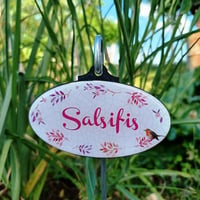 Salsifis etiquette de jardin