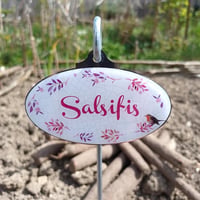 Salsifis r