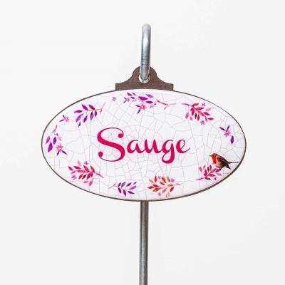 Sauge