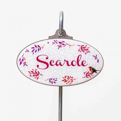Scarole