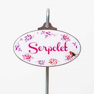 Serpolet