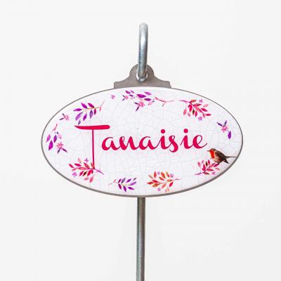 Tanaisie