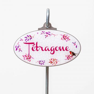 Tétragone