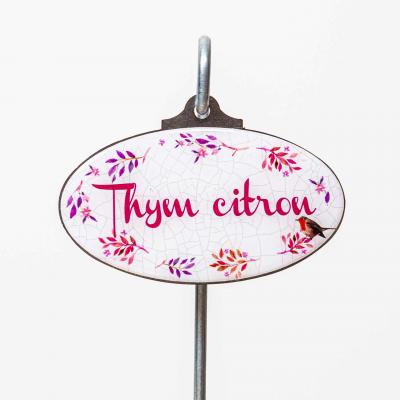 Thym citron