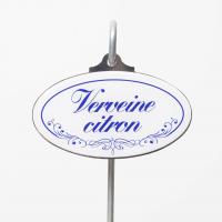 Verveine citron etiquette marque plante vivaces 1