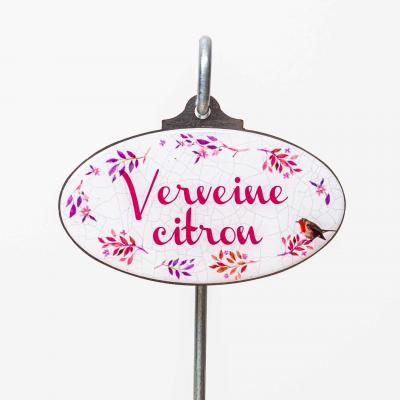 Verveine citron